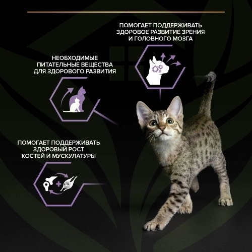 Влажный корм Purina Pro Plan Kitten Healthy Start (Mix) набор паучей для котят (говядина/индейка/курица), 85 г фото 7