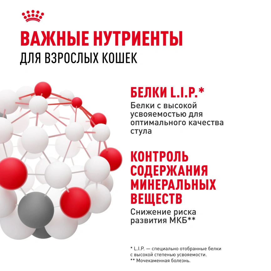 Влажный корм Royal Canin Indoor в соусе для кошек, живущих в помещении, пауч, 85 г фото 4