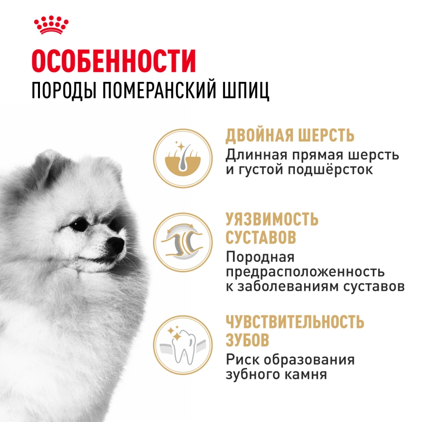Сухой корм Royal Canin Pomeranian Adult для собак породы померанский шпиц, 1.5 кг фото 2