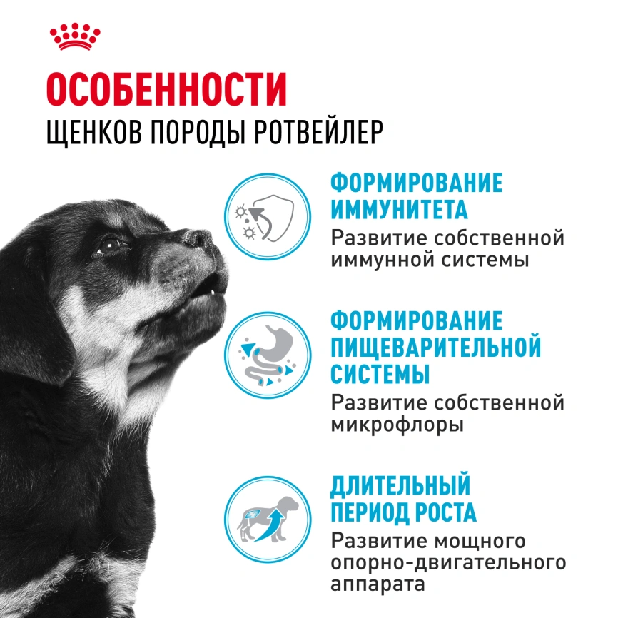 Сухой корм Royal Canin Rottweiler Puppy для щенков, 12 кг фото 2