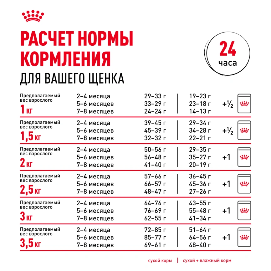 Сухой корм Royal Canin Chihuahua Puppy для щенков породы чихуахуа, 500 г фото 9