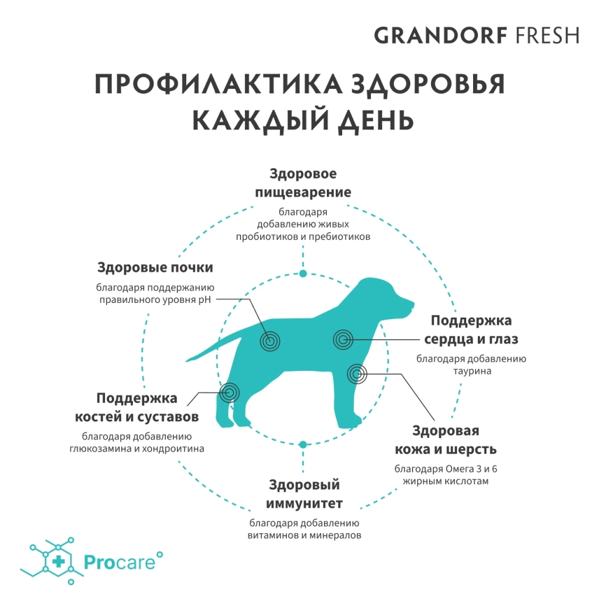 Сухой корм Grandorf Fresh Dog для взрослых собак средних и крупных пород чувствительное пищеварение и гипоаллергенный ягненок с бататом 3 кг фото 4