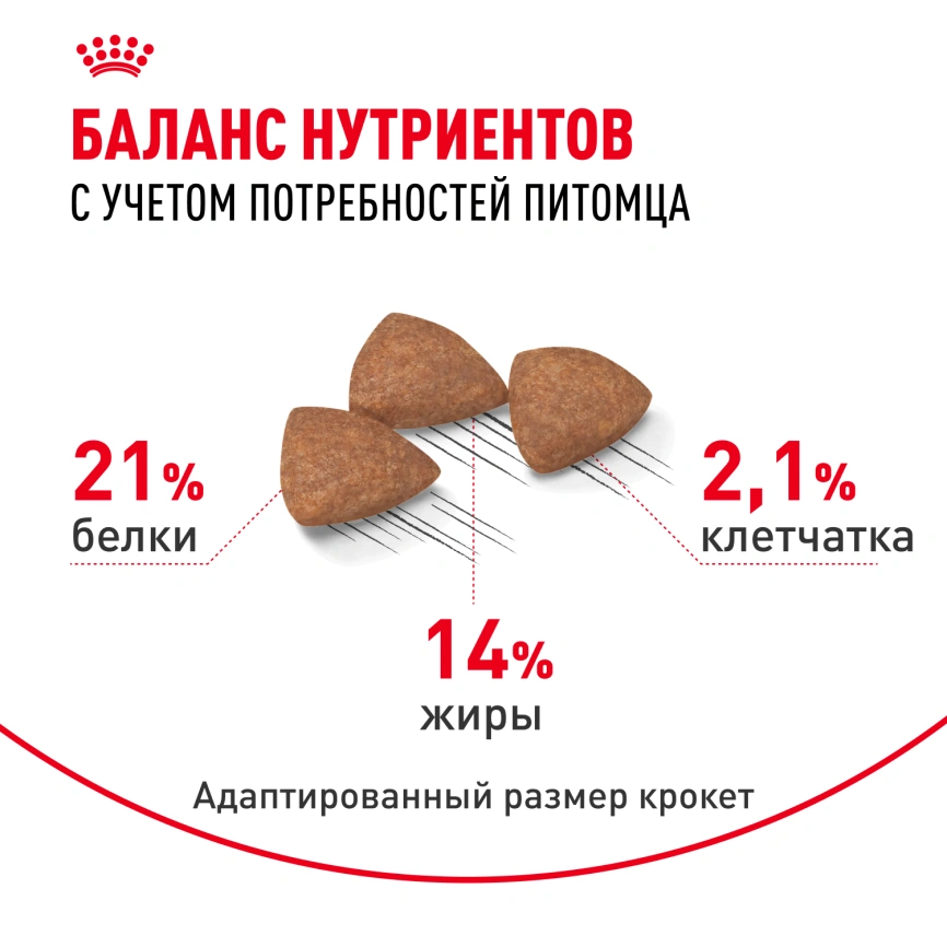 Сухой корм Royal Canin Mini Indoor Adult для собак, 10 кг фото 5