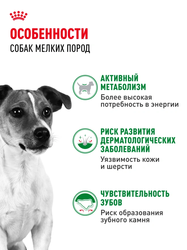 Сухой корм Royal Canin Mini Adult для взрослых собак, 800 фото 16