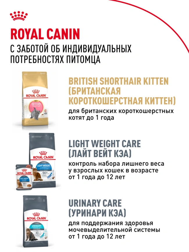 Сухой корм Royal Canin British Shorthair для кошек породы британская короткошерстная, 10 кг фото 28
