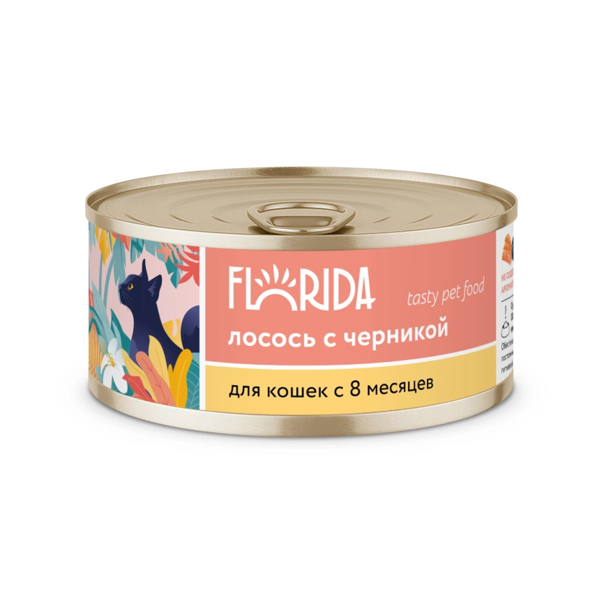 Влажный корм Florida для кошек с с лососеми черникой, 100 г фото 1
