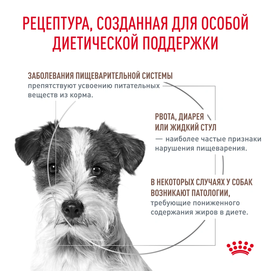 Сухой корм Royal Canin Gastrointestinal Low Fat Small Dogs для собак, 1 кг фото 2