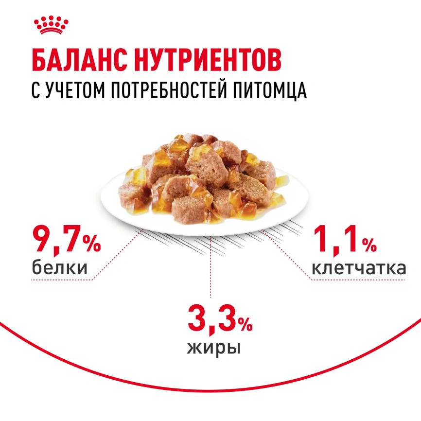 Влажный корм Royal Canin Indoor в желе для кошек, живущих в помещении, пауч, 85 г фото 4