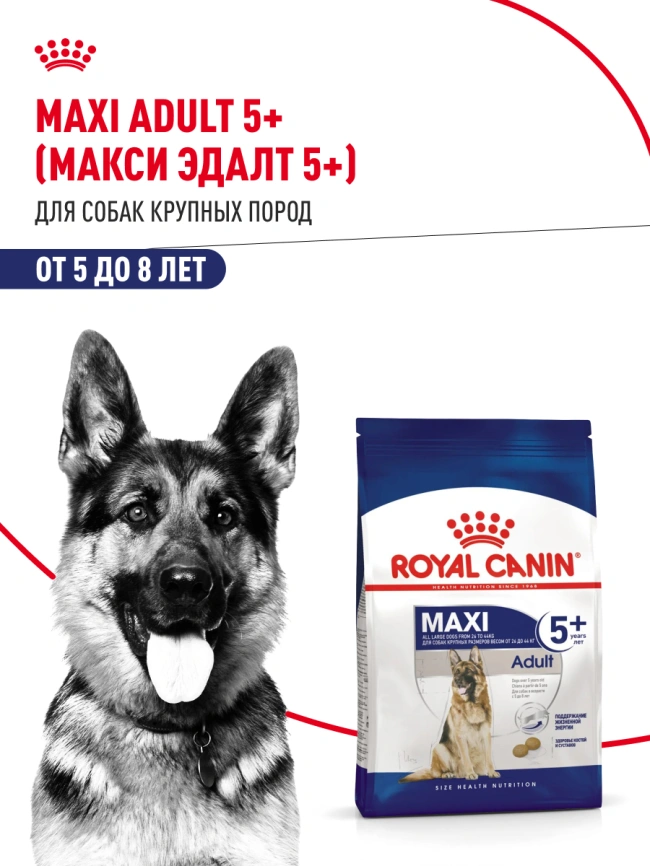 Сухой корм Royal Canin Maxi Adult 5+ для собак, 15 кг фото 13