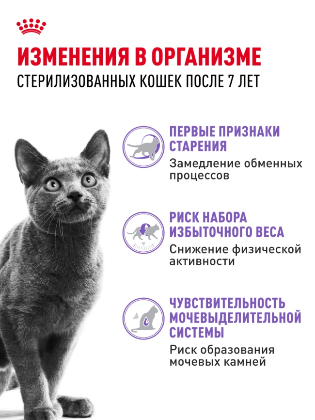 Сухой корм Royal Canin Sterilised 7+ для стерилизованных кошек и кастрированных котов, 1.5 кг фото 15