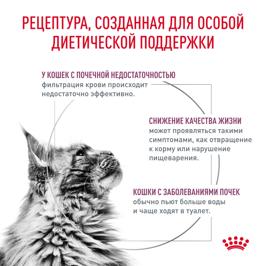 Влажный корм Royal Canin Renal with Beef в соусе для кошек при заболеваниях почек, с говядиной, пауч, 85 г фото 3