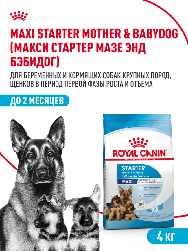 Сухой корм Royal Canin Maxi Starter Mother & Babydog для собак, 4 кг фото 18