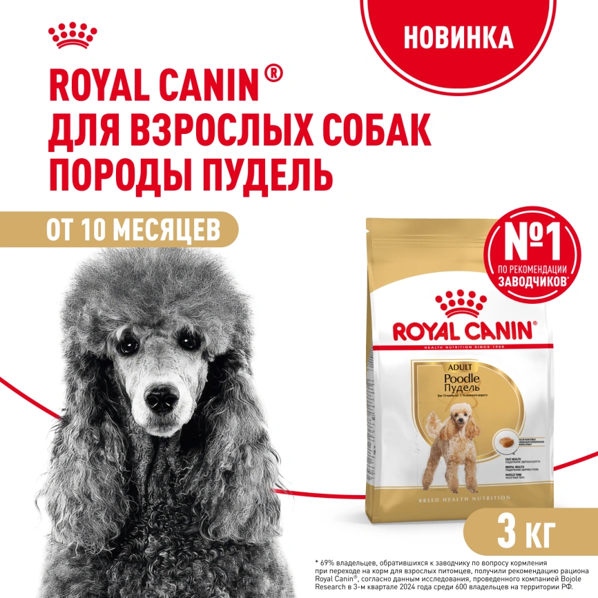 Сухой корм Royal Canin Poodle Adult для взрослых собак, 3 кг фото 1