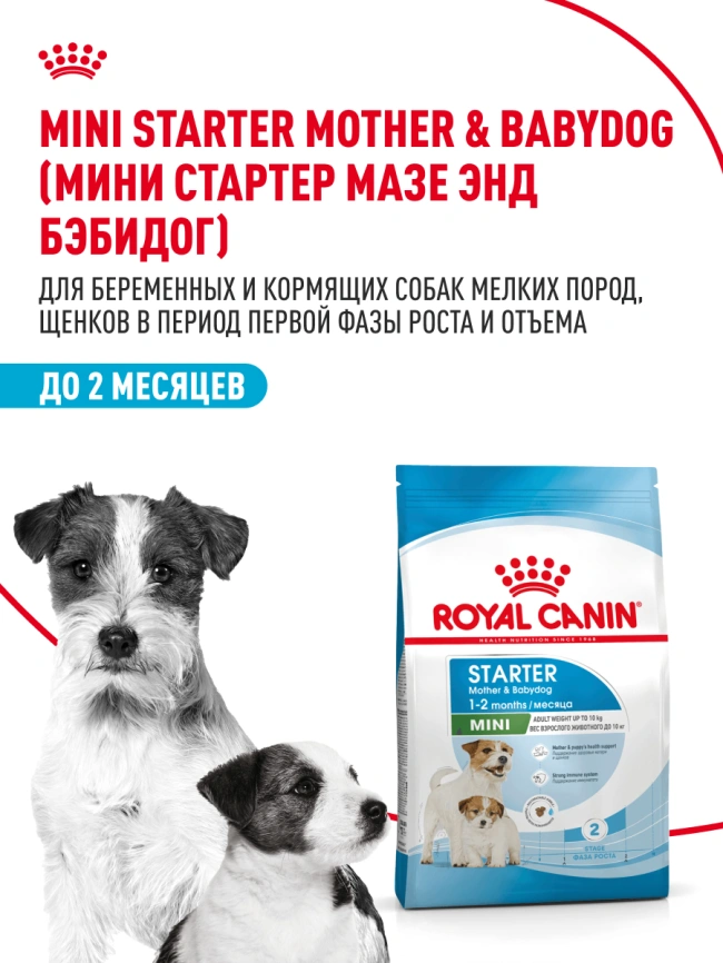 Сухой корм Royal Canin Mini Starter Mother & Babydog для щенков и кормящих сук, 3 кг фото 12