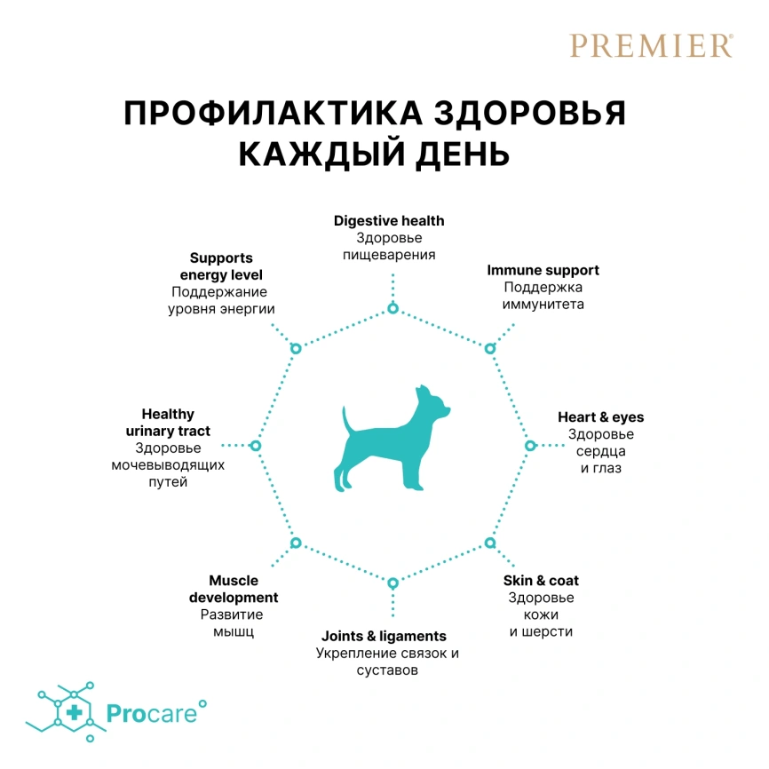 Сухой корм Premier Dog Lamb & Turkey Adult Mini для собак мелких пород, 3 кг фото 4
