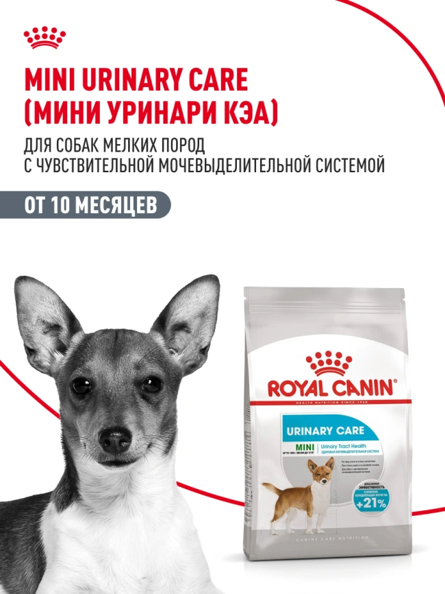 Сухой корм Royal Canin Mini Urinary Care для собак, 1 кг фото 13