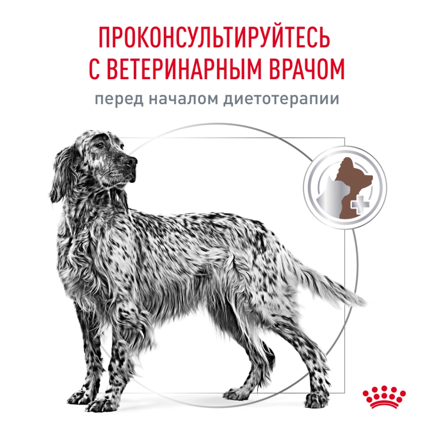 Сухой корм Royal Canin Gastrointestinal Low Fat для собак, 12 кг фото 7