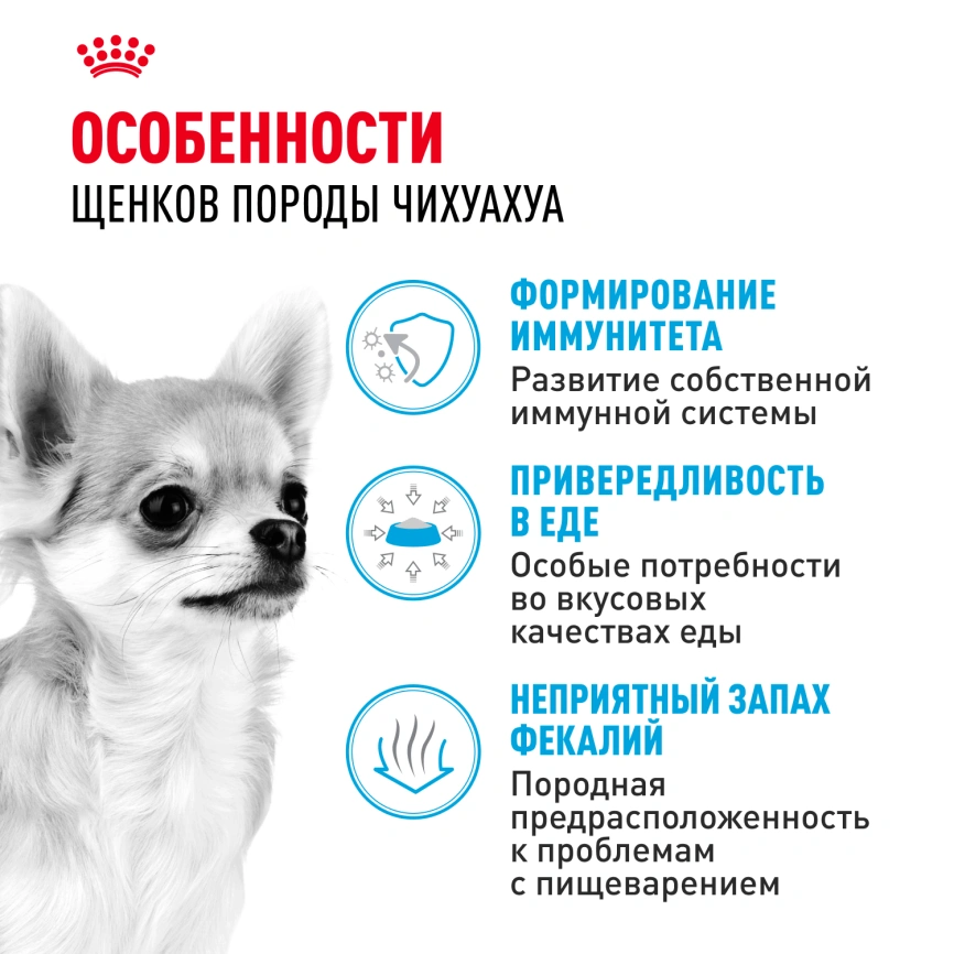 Сухой корм Royal Canin Chihuahua Puppy для щенков породы чихуахуа, 1.5 кг фото 2
