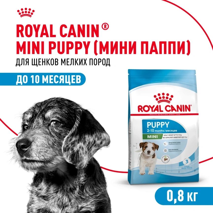 Сухой корм Royal Canin Mini Puppy для щенков, 800 г фото 1