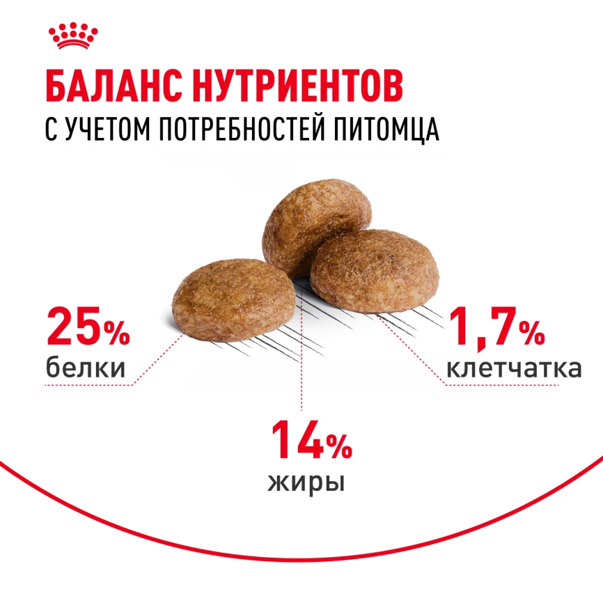 Сухой корм Royal Canin Medium Adult 7+ для собак, 4 кг фото 4