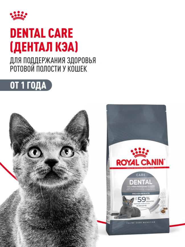 Сухой корм Royal Canin Dental Care для кошек, 1.5 кг фото 13