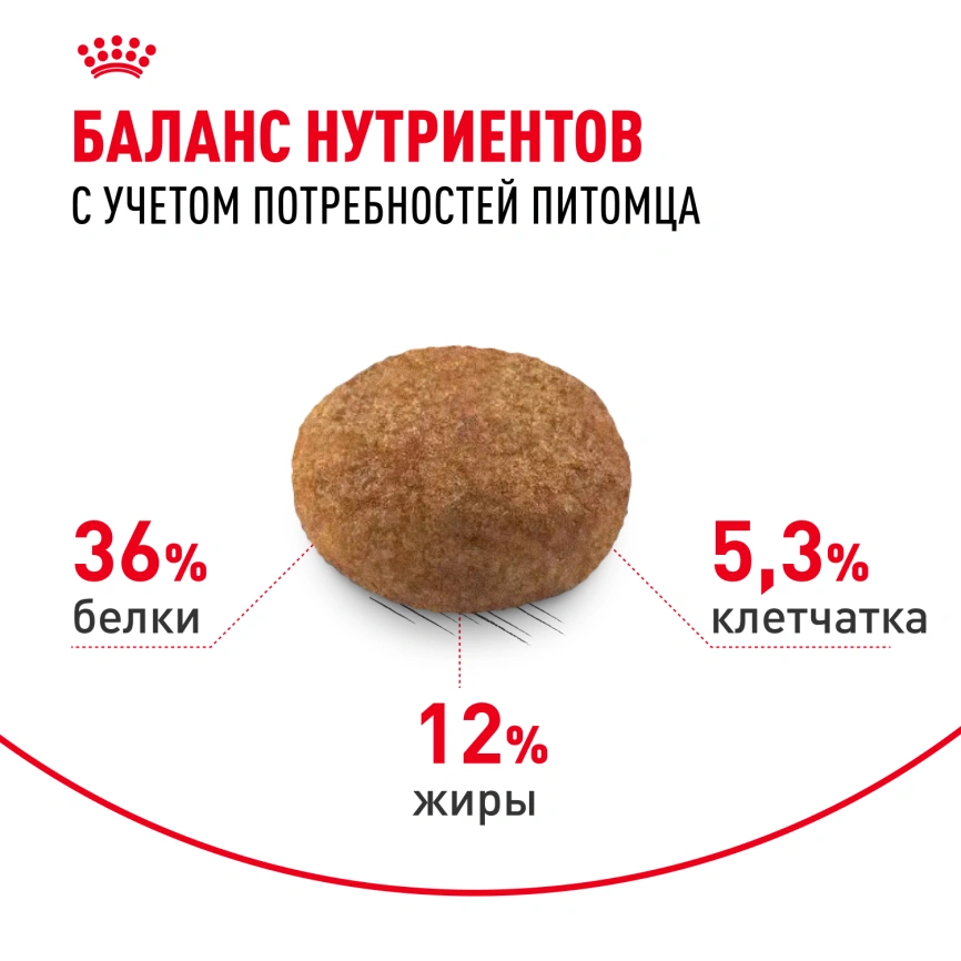 Сухой корм Royal Canin Sterilised 7+ для стерилизованных кошек и кастрированных котов, 3.5 кг фото 4