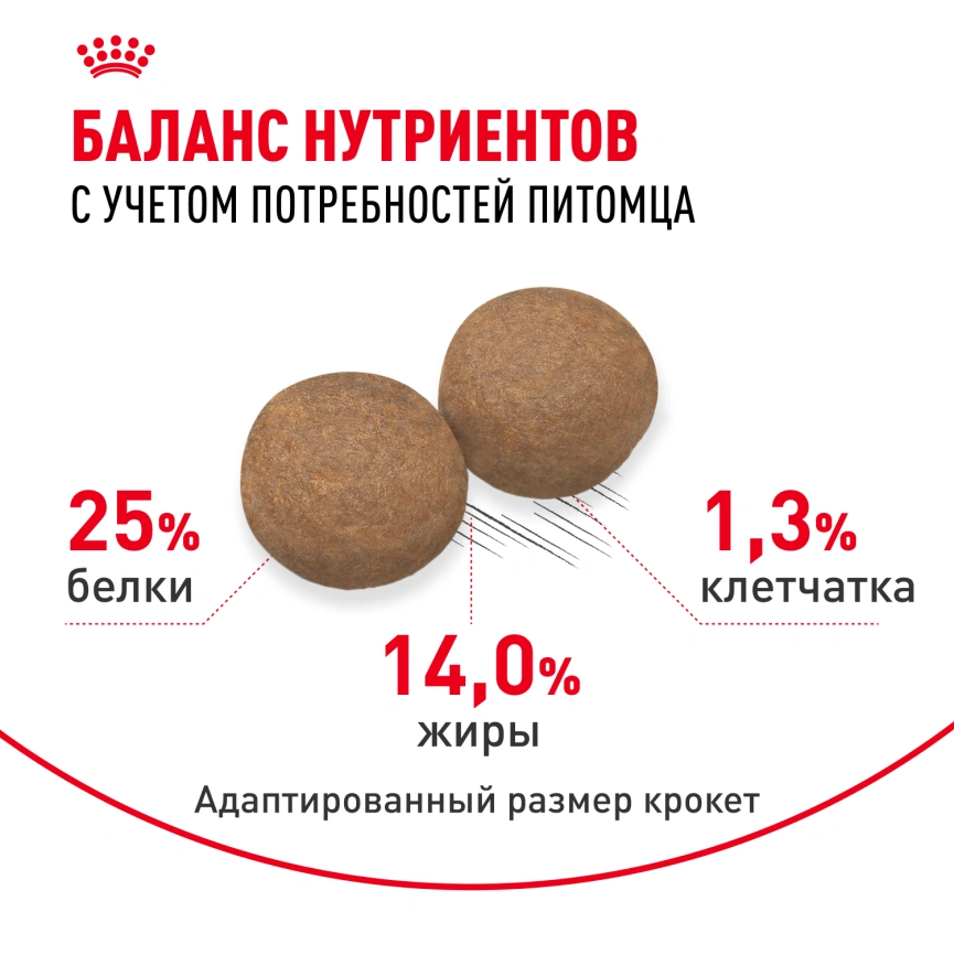 Сухой корм Royal Canin Medium Adult для собак, 3 кг фото 4