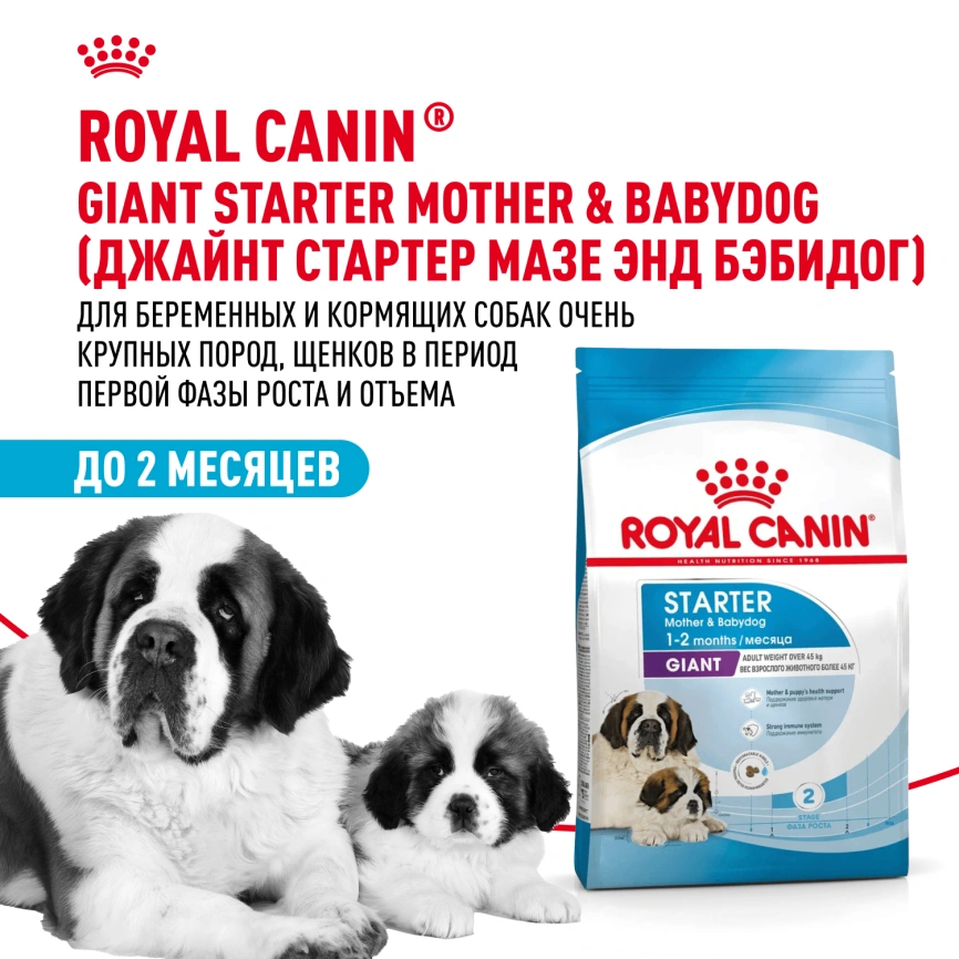 Сухой корм Royal Canin Giant Starter Mother & Babydog для щенков и собак, 15 кг фото 12