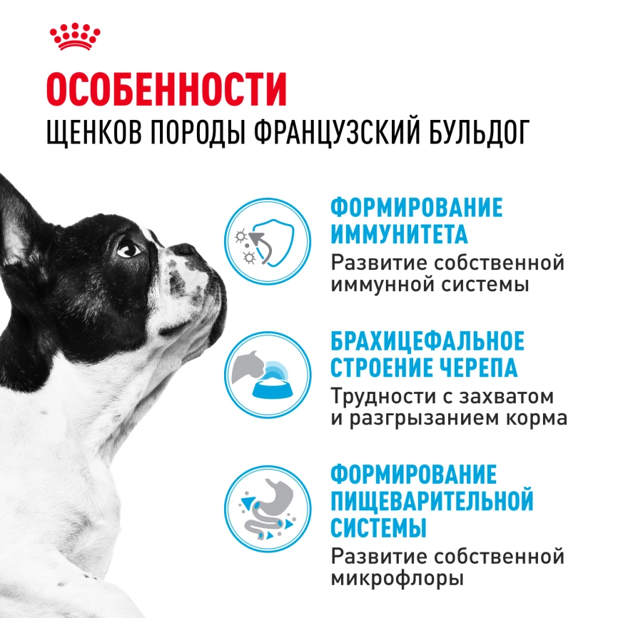 Сухой корм Royal Canin French Bulldog Puppy для щенков, 10 кг фото 2