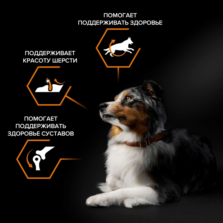Сухой корм Purina Pro Plan Adult Small & Mini  для взрослых собак средних и мелких пород, курица и рис, 3 кг фото 2