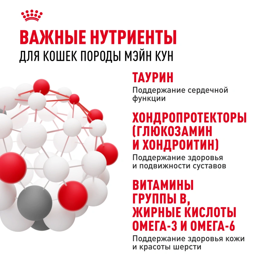 Влажный корм Royal Canin Maine Coon в соусе для кошек породы мейн-кун и других крупных пород старше 1 года, пауч, 85 г фото 5