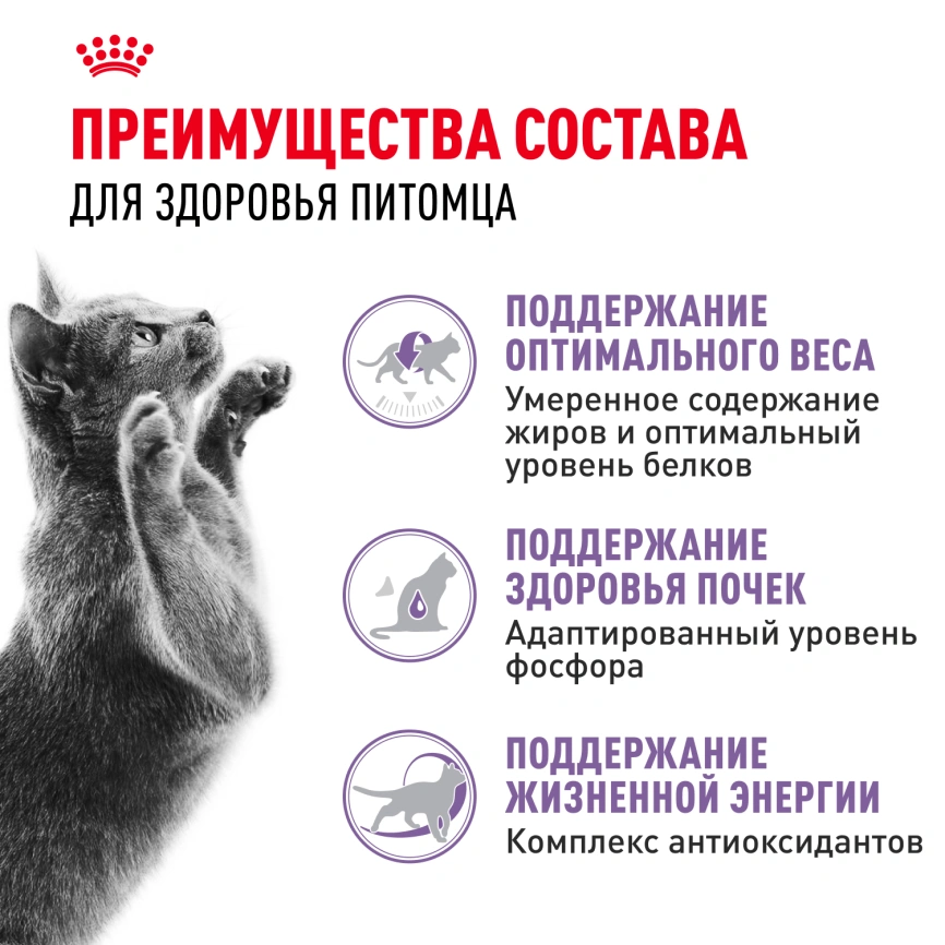 Сухой корм Royal Canin Sterilised 7+ для стерилизованных кошек и кастрированных котов, 1.5 кг фото 3