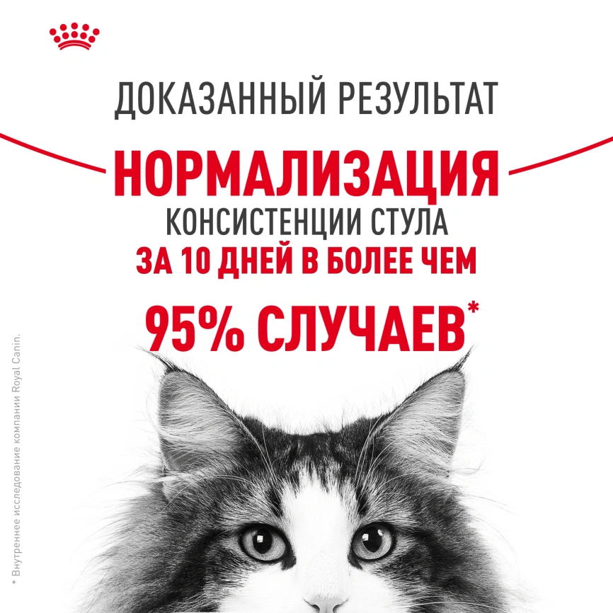 Сухой корм Royal Canin Digestive Care для кошек, 2 кг фото 11