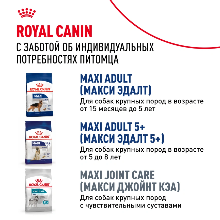 Сухой корм Royal Canin Maxi Ageing 8+ для собак, 15 кг фото 7
