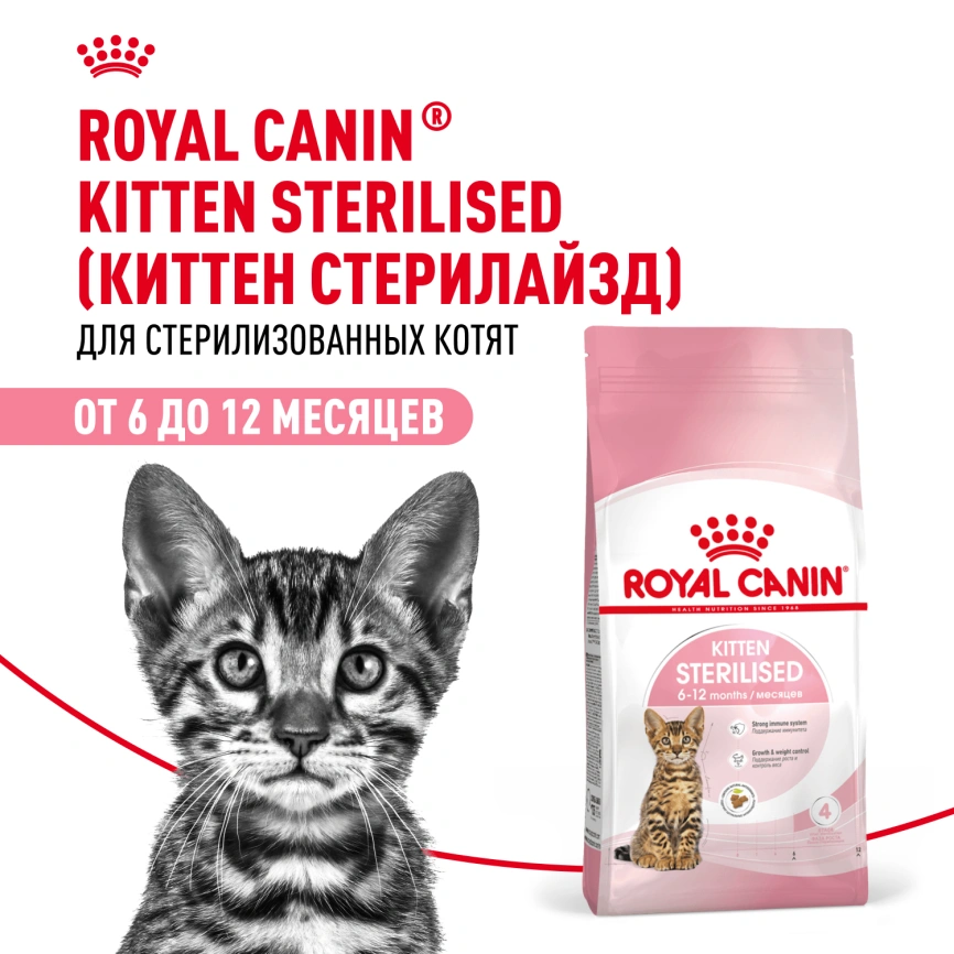 Сухой корм Royal Canin Kitten Sterilised для котят, 2 кг фото 12