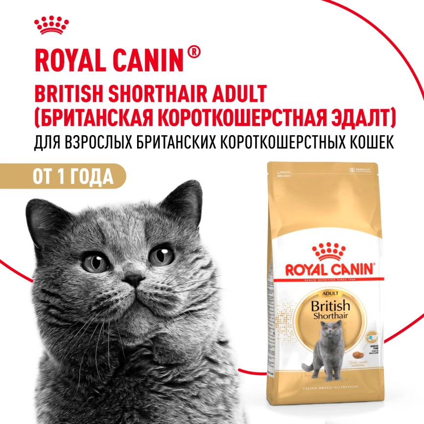 Сухой корм Royal Canin British Shorthair для кошек породы британская короткошерстная, 2 кг фото 11