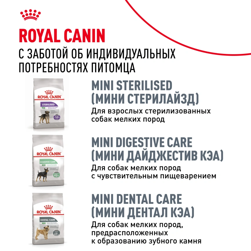 Сухой корм Royal Canin Poodle Adult для взрослых собак, 3 кг фото 9