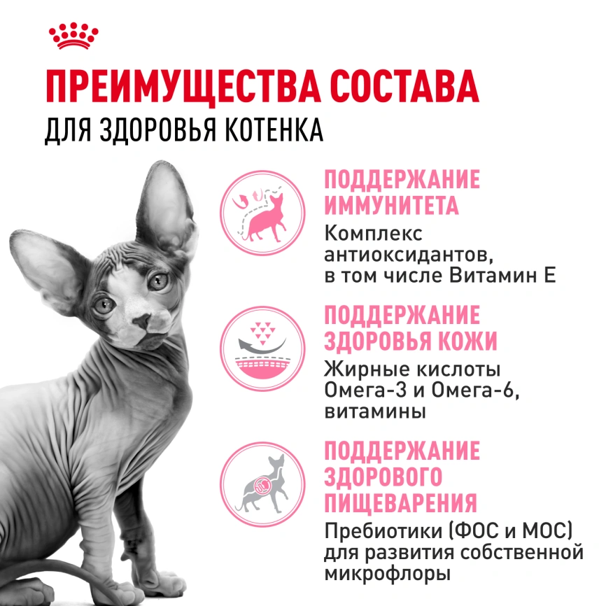 Сухой корм Royal Canin Kitten Sphynx для котят, 2 кг фото 3