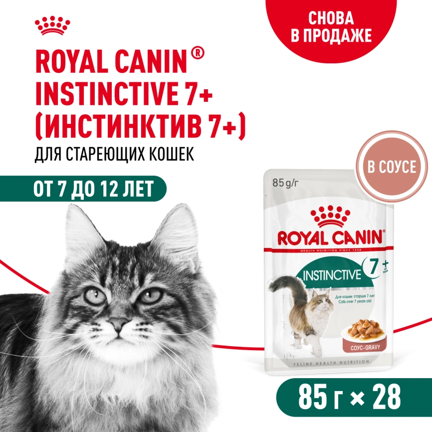 Влажный корм Royal Canin Instinctive 7+ в соусе для кошек старше 7 лет, пауч, 85 г фото 11
