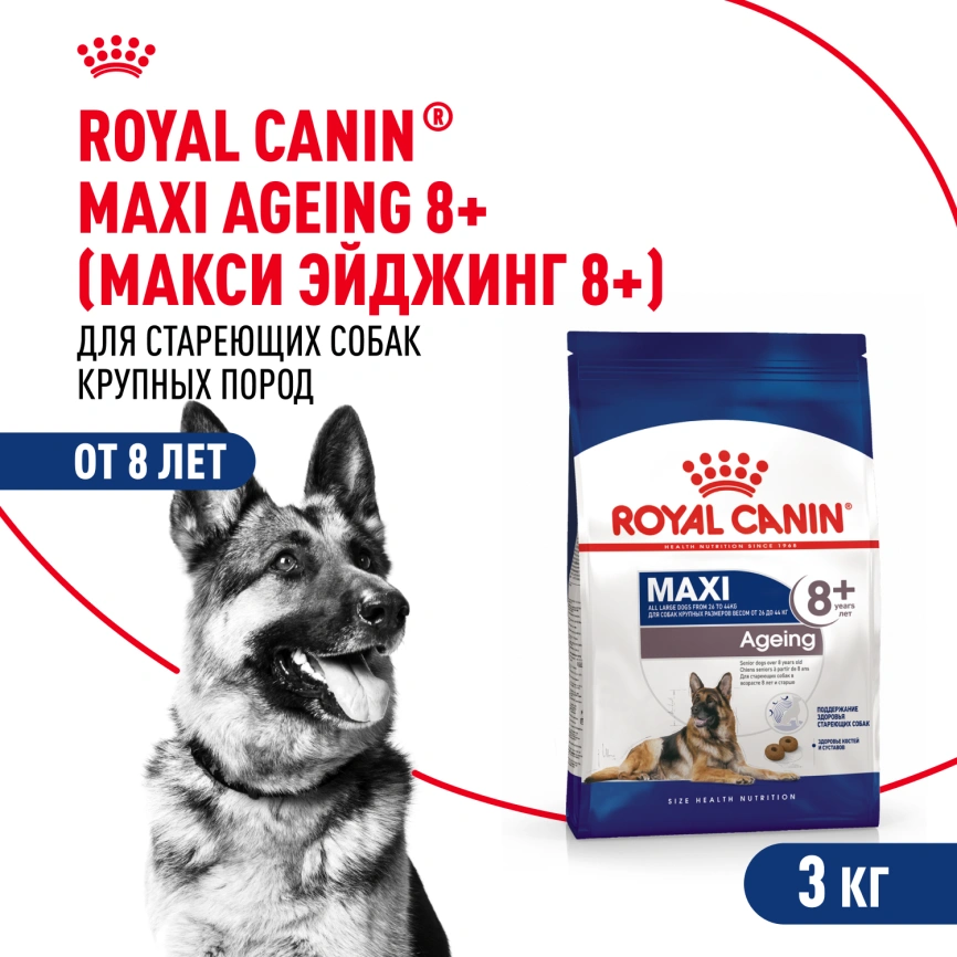 Сухой корм Royal Canin Maxi Ageing 8+ для собак, 3 кг фото 1