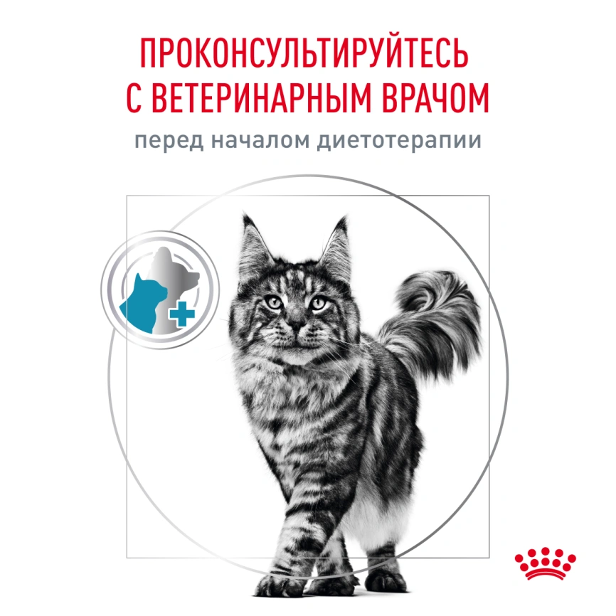 Сухой корм Royal Canin Hypoallergenic для кошек, 350 г фото 8