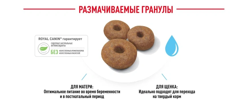 Сухой корм Royal Canin Maxi Starter Mother & Babydog для собак, 4 кг фото 3