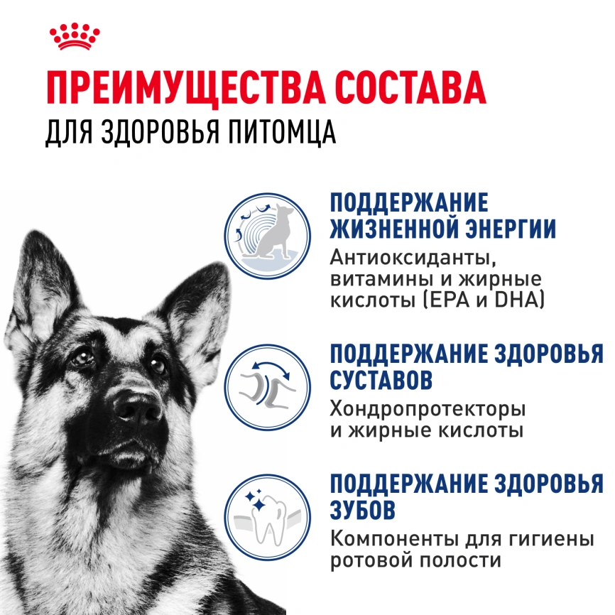 Сухой корм Royal Canin Maxi Adult 5+ для собак, 15 кг фото 3