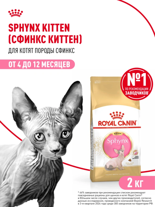 Сухой корм Royal Canin Kitten Sphynx для котят, 2 кг фото 14