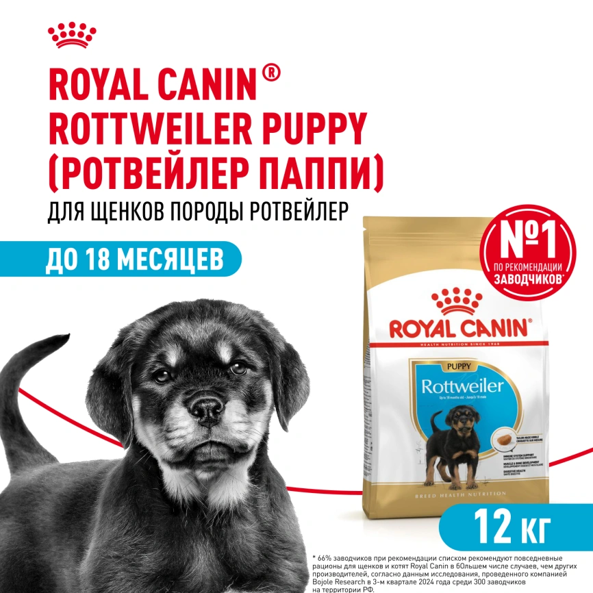Сухой корм Royal Canin Rottweiler Puppy для щенков, 12 кг фото 1