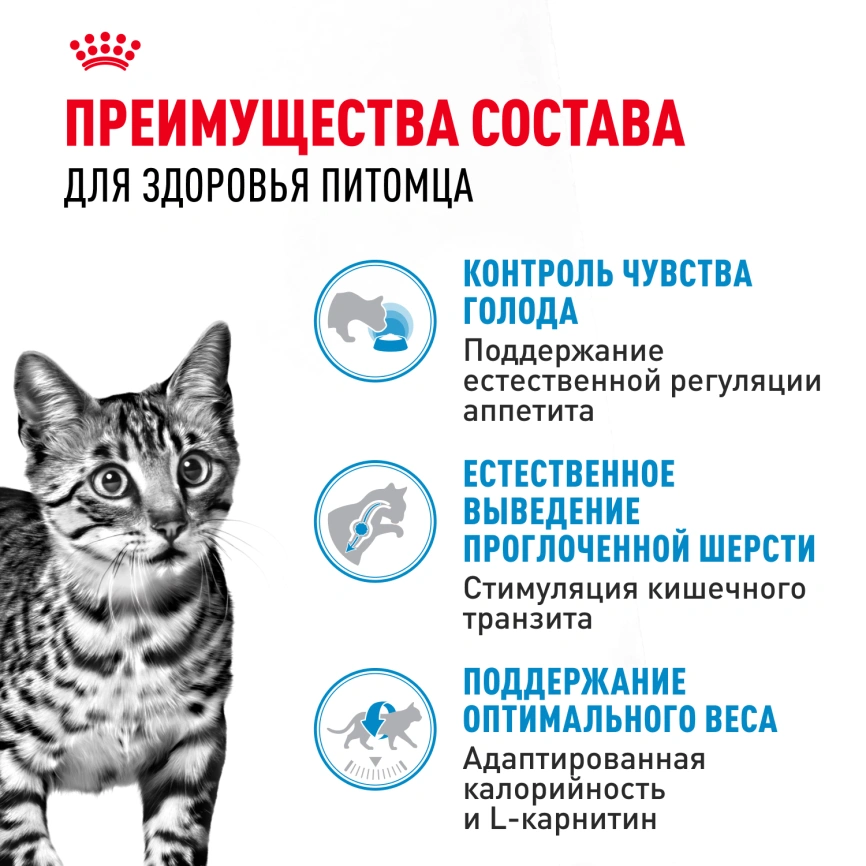 Сухой корм Royal Canin Indoor Appetite Control для кошек, 2 кг фото 3