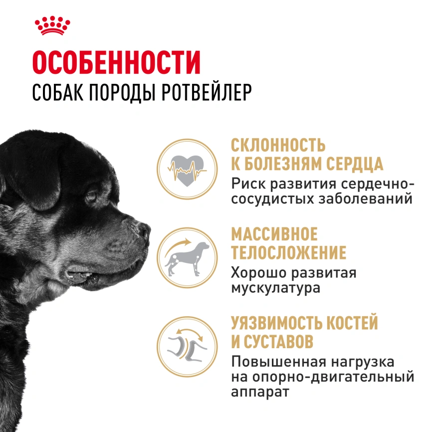 Сухой корм Royal Canin Rottweiler Adult для взрослых собак, 12 кг фото 2
