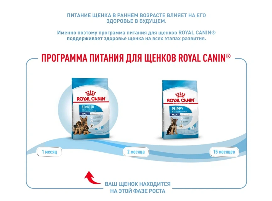 Сухой корм Royal Canin Maxi Starter Mother & Babydog для собак, 15 кг фото 5