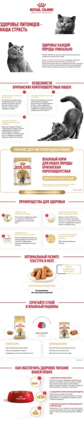 Влажный корм Royal Canin British Shorthair в соусе для кошек породы британская короткошерстная и шотландская вислоухая старше 1 года, пауч, 85 г фото 11
