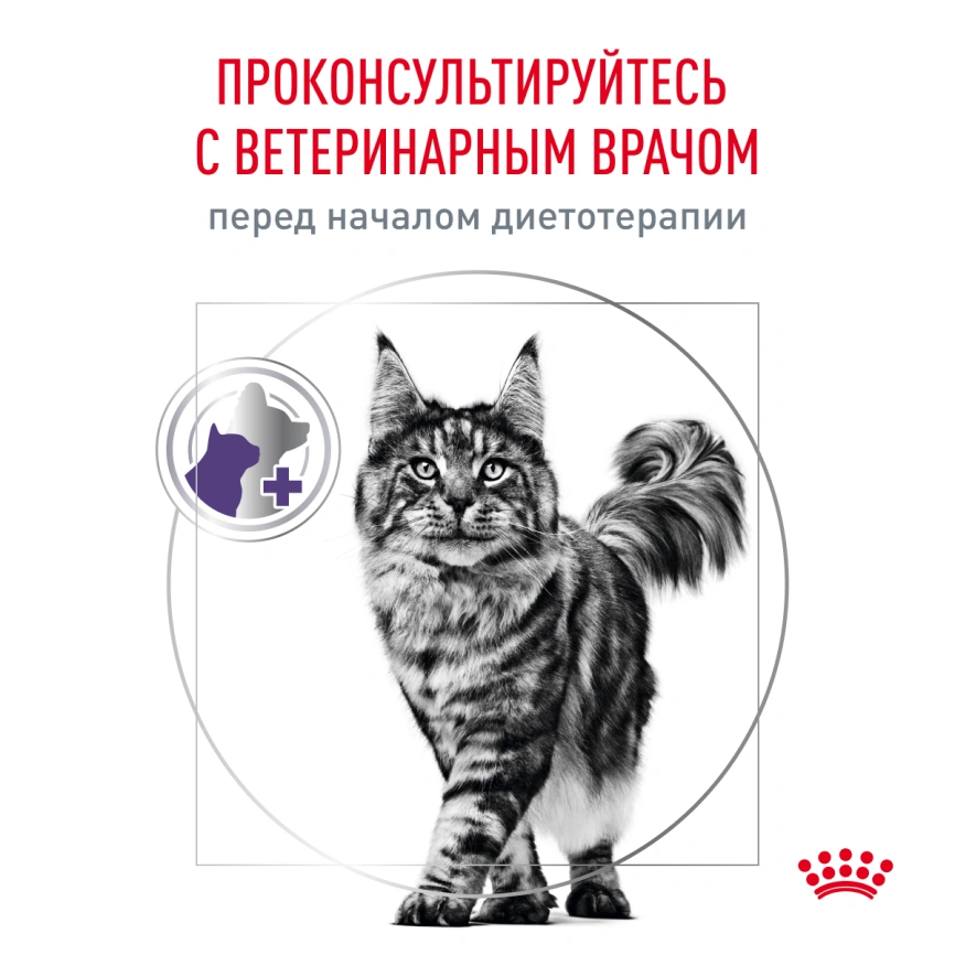 Сухой корм Royal Canin Neutered Satiety Balance для кастрированных котов и стерилизованных кошек до 7 лет, 1.5 кг фото 5